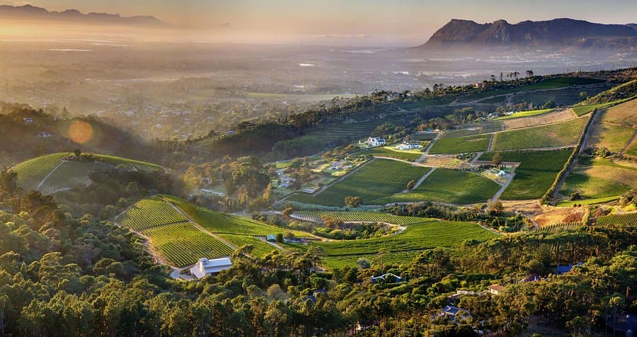 Constantia wine region