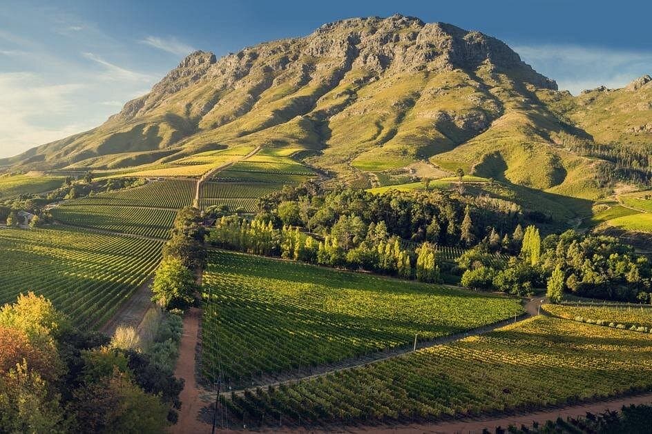 Stellenbosch wine region